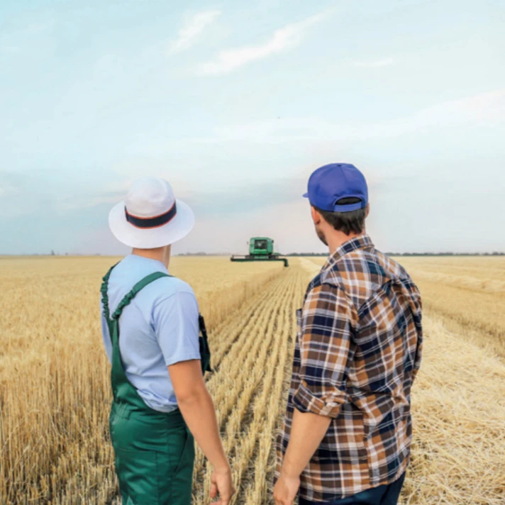 Le bail rural dans le monde agricole